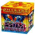 Русская пиротехника Архангельск